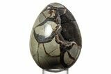 Septarian Dragon Egg Geode - Sparkly Black Crystals #356151-1